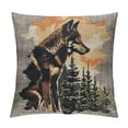 thumbnail image 1 of FUMJ Wolf Pillow Cover, Throw Pillow Cover for Sofa Bed Couch,Rustic Farmhouse Cabin Cushion Cover,Safari Animals Decorative Pillow Cover,Orange Gray, 1 of 5