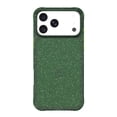 thumbnail image 1 of onn Sparkle Phone Case for iPhone 17 Pro - Green with Gold Glitter, 1 of 6