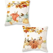 ONWAY Fall Pumpkins Pillow Covers 18x18 Inch Set of 2 Farmhouse Autumn Thanksgiving Decor Lumbar Cushion Cases for Couch Home Decorations