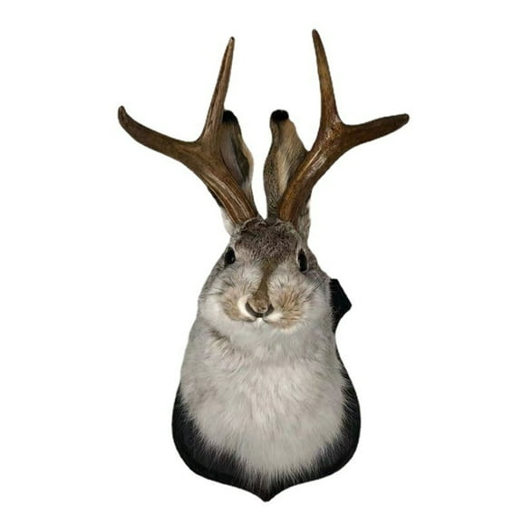 OOKWE Rabbit Head Antlers Wall Decor Sculpture Resin Christmas Decorations for Office Holiday Home 3D Abstract Animal Statue