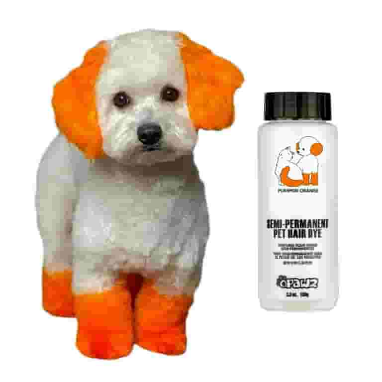 OPAWZ Semi-Permanent Dog Hair Dye, Non-Toxic Pet Hair Dye for Dogs, Cats and All Pets Can be Bathed (Pumpkin Orange)