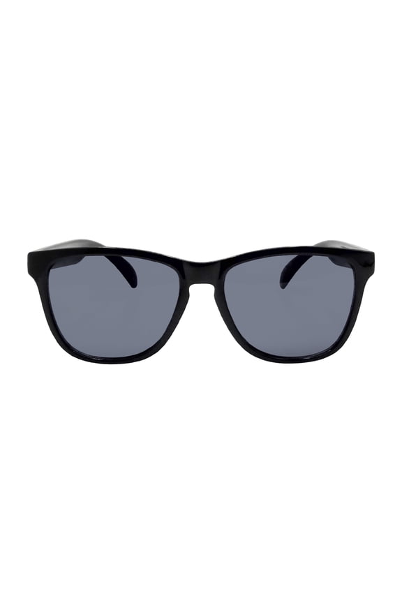 Mens Plastic Wayfarer Black Frame Smoke Lens Sunglasses