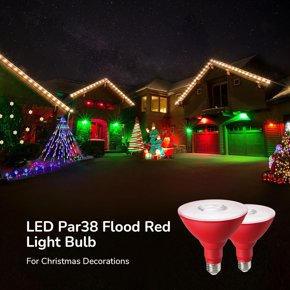 Christmas Flood Light