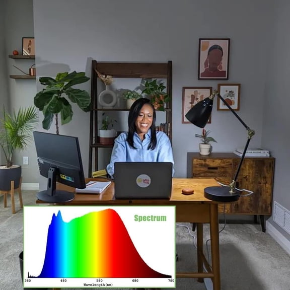 OPVM-Full Spectrum Light Bulb, 5000K Natural Sunlight Bulb for Home, Dimmable LED Light Bulbs, 11W Equivalent 100W, A19 E26, Boosts Mood & Energy, 3 Pack