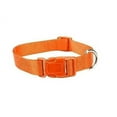 thumbnail image 1 of ORANGE DOG COLLAR BULK LOT PACKS 4 Sizes Nylon Litter Band Puppy Rescue Shelter(Small - 10 to 16 Inch 75 Collars), 1 of 1