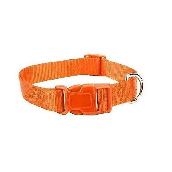 ORANGE DOG COLLAR BULK LOT PACKS 4 Sizes Nylon Litter Band Puppy Rescue Shelter(Small - 10 to 16 Inch 75 Collars)