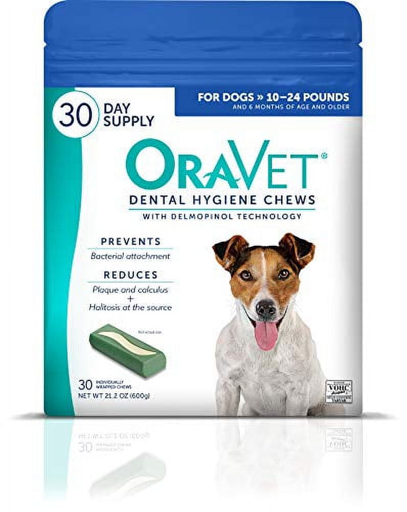 Dental chews for senior dogs hotsell
