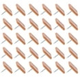 thumbnail image 1 of ORDDIART Reduce Friction with 40Pcs Furniture Rectangular Slide Nails 17X12Mm, 1 of 8