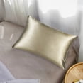 thumbnail image 1 of ORGANICTUNE 1 Pack Mulberry Silk King Pillowcase, 20x36 inches, Taupe, 1 of 5