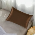 thumbnail image 1 of ORGANICTUNE 1 Pack Mulberry Silk Queen Pillowcase, 20x30 inches, Brown, 1 of 5