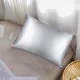 thumbnail image 1 of ORGANICTUNE 1 Pack Mulberry Silk Queen Pillowcase, 20x30 inches, Silver, 1 of 5