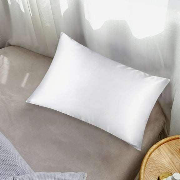 ORGANICTUNE 1 Pack Mulberry Silk Queen Pillowcase, 20x30 inches, White