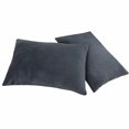 thumbnail image 1 of Organictune 2 Pack Velvet Pillowcases, Ultra Soft and Cozy Luxury Zippered Pillow Cases, Charcoal Gray, King, 20" x 36", 1 of 5