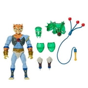 Masters of the Universe Origins & ThunderCats Tygra Posable 5.5 Inch Action Figure Toy Crossover