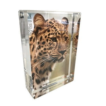 ORIGINAL MAGNET FRAME by CANETTI 2x4 Prestige Magnetic Picture Frame, Floating Photo Frame, Two Acrylic Panels Gold