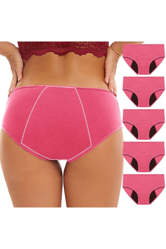 Spandex Underwear for Women 5 Pack Leakproof Period Briefs Mid Rise Breathable Comfortable Nylon Stretch Underwear