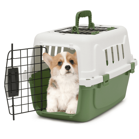 OSM 18-Inch Hard-Sided Plastic Pet Carrier with Top and Front Door Access, 4-Side Ventilation, Security Lock, Durable Handle for Small Dogs and Cats Travel up to 10 lbs (Green)