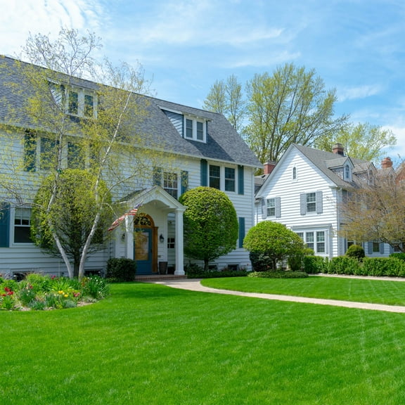 OSP Rye Grass Seed - Perennial Ryegrass Coated Seed Blend - 25 LBS