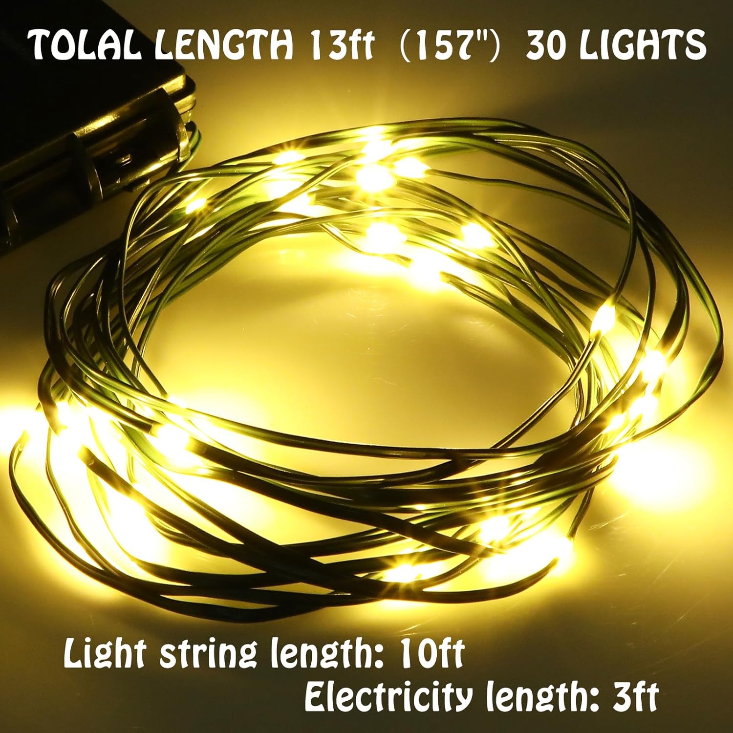 OTGFRF-10 ft 30 LEDs Christmas String Lights with Timer Warm White ...