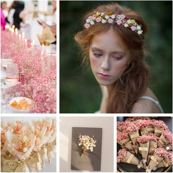 OTGFRF-100Pcs Mini Dried Baby's Breath Flowers Pink & Cream White, 5600+ Gypsophila Bulk Bouquet, Natural Dried Flowers for Resin, Vase Decor, DIY Crafts, Wedding Wreaths and Party Decorations