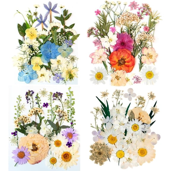 OTGFRF-105Pcs Subtle Colors Flowers for Resin Model, Real Pressed Flowers Dry Leaves Bulk Natural Herbs Kit for Scrapbooking DIY Art Crafts, Epoxy Jewelry, Candle, Soap Making, Nails Decor