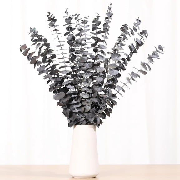 OTGFRF-16 Pcs Dried Eucalyptus Stems, 17'' Natural Eucalyptus Leaves Branches Hanging for Shower, Preserved Real Black Plant Live Greenery for Home SPA Wall Bathroom Wedding Party Vase Decor