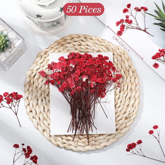 OTGFRF-50 Pcs Dried Baby Breath Flowers, Red Mini Natural Gypsophila Dried Pressed Flowers for DIY Wedding Card, Home Party Decor, Making Crafts Flora