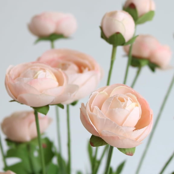 OTGFRF-5Pcs Artificial Ranunculus Flower Silk Flowers Persian Buttercup for Home Wedding Decoration Floral Creation Flower Arrangement DIY Project (Champagne)