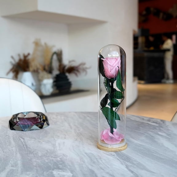 OTGFRF-9.8 inches Preserved Rose in Glass Dome Rose with Green Leaves Eternal Love and Natural Beauty for Grandma Mom Girlfriend Classmate Friend Lover (Pink)