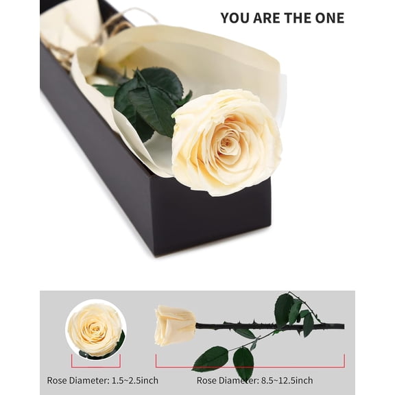 OTGFRF-Champagne Flowers for Delivery Prime, Preserved Champagne Roses Flower Gifts for Women, Real Roses Single Rose Gifts for Her, Mom Birthday Gifts from Daughter, Valentines Flowers