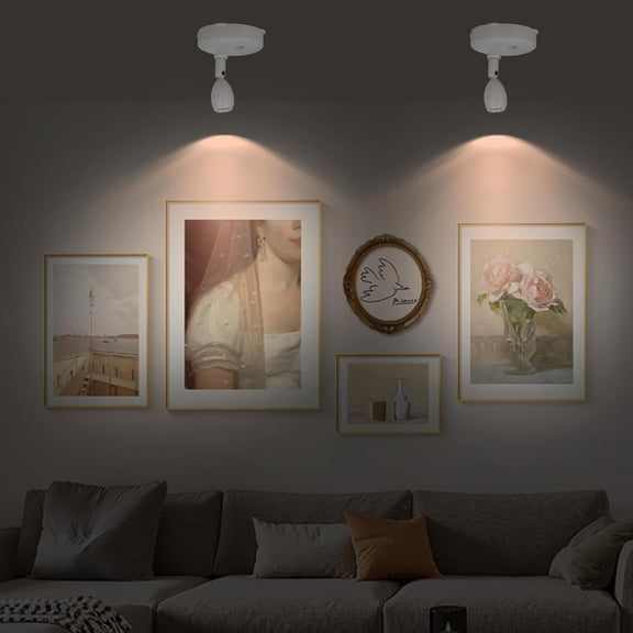 OTGFRF-Cordless Spotlight Battery Operated, RGB Indoor Plant Light, Dimmable Accent Uplight with Remote, Color Changing Display Lighting for Picture Tree Photo Dartboard Painting Art