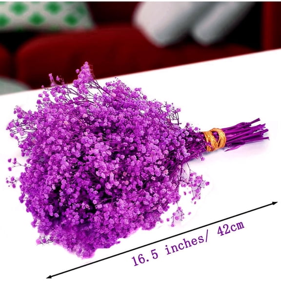 OTGFRF-Dried Baby's Breath Flowers Purple, 17inch Dried Natural Flowers Babys Breath Bulk with 3000 Buds, Real Dry Gypsophila for Wedding, Party, Wreath Floral DIY, Home Decor
