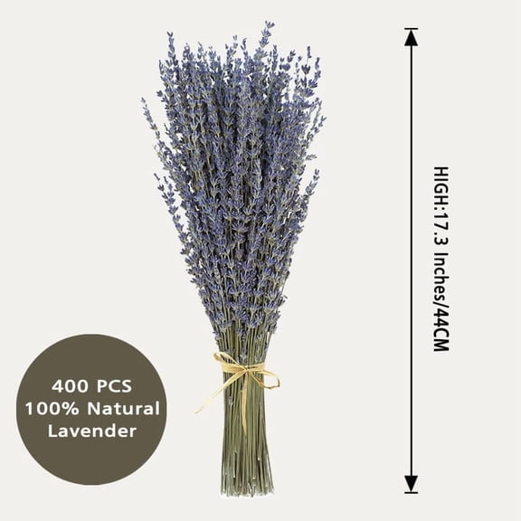 OTGFRF-Dried Lavender 4 Bunches 100% Fresh Natural Purple Bouquet Flowers for Bathroom Photo Props Crafts (200g/7oz), 15-17" for Shower Weeding Vase Decor, Aromatherapy Home Fragrance(400-440 Stems T