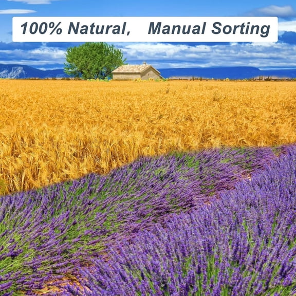 OTGFRF-Dried Lavender & Wheat Flowers Bundle - 17'' Real Fresh Preserved Lavender Flowers and White Wheat Plants Bouquet Hand Tied Fall Wedding, Fragrance Home Vase Decor, Bohemian Arrangements, 2 Bu