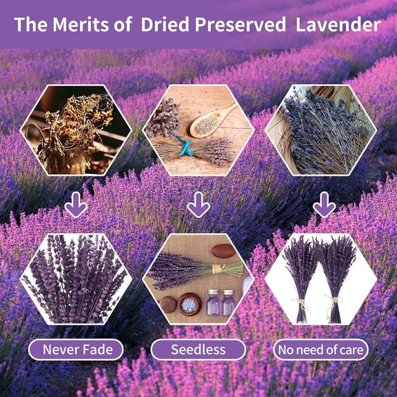 OTGFRF-Dried Preserved Lavender Flowers Bundle-Natural Dried Lavender Bouquet 180-200 Stems 15''-17" for Wedding Home Shower Vase Decor, Aromatherapy, Fragrance, Fresh, Dry, 2 Packs