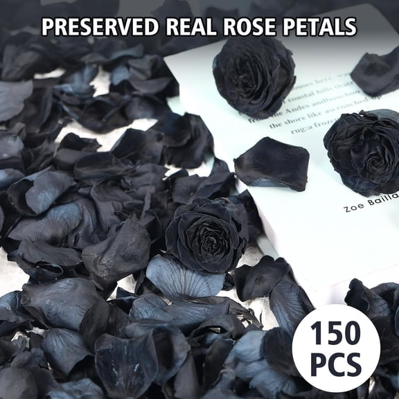 OTGFRF-Dried Real Rose Petals, Natural Preserved Dry Flower Petals for Wedding Party Dinner Table Decor, Romantic Night for Her Set, Engagement, Bridal Shower, Valentine's Day, Confetti (1.6oz, Black