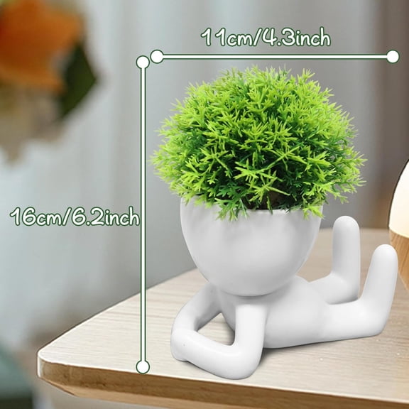 OTGFRF-Mini Succulent Plant - Plants Gift - Cute Desktop Decoration Desk Decorations for Women Office -Small Plants Shelf Decor-Cute Cubicle Accessories-Set of 1