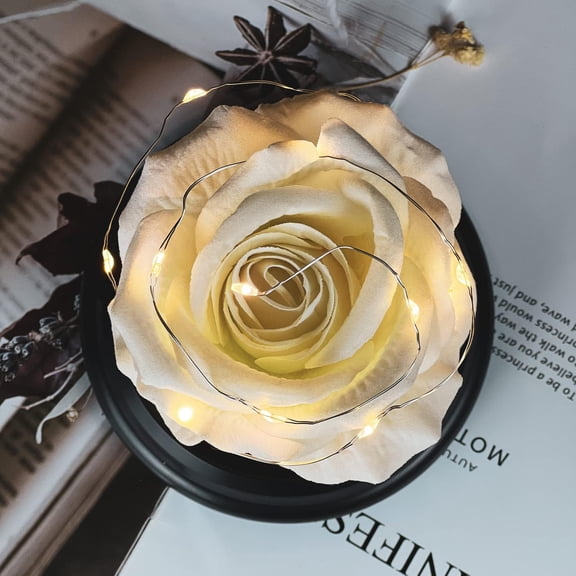 OTGFRF-Mom Gifts for Mothers Day Rose Flower Gifts for Women, Mother Day Mom Gifts from Daughter Son, Birthday Gift for Women, Rose Flower Gift for Her, Anniversary, Wedding, Rose in A Dome 1PC