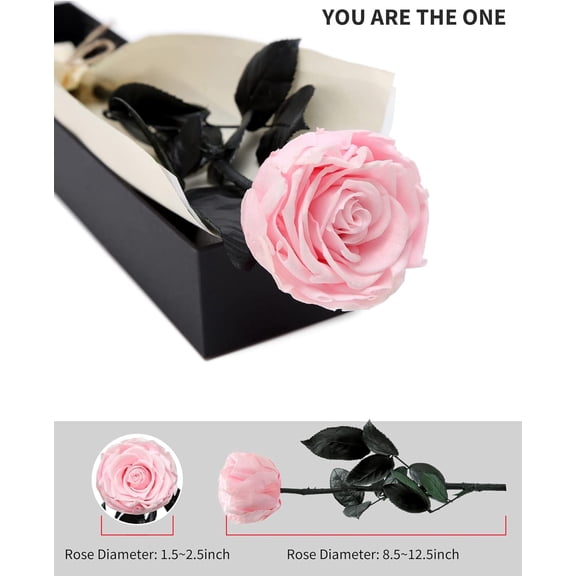 OTGFRF-Pink Flowers for Delivery Prime, Preserved Pink Roses Flower Gifts for Women, Real Roses Single Rose Gifts for Her, Mom Birthday Gifts from Daughter, Valentines Flowers