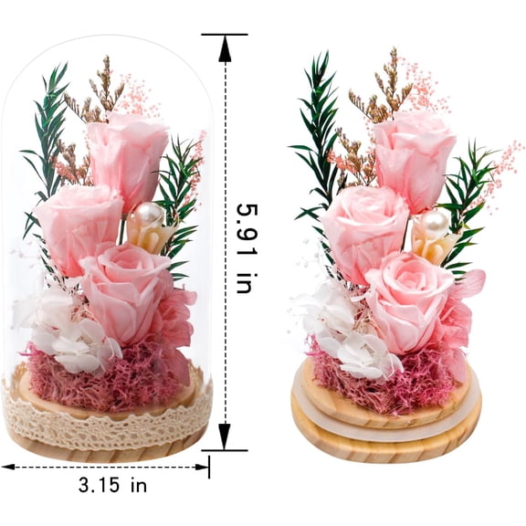 OTGFRF-Preserved Rose Flowers for Women, Forever Preserved Flowers in Glass Dome, Eternal Real Roses Gift for Mother's Day, Christmas, Anniversary and Birthday (Light Pink)