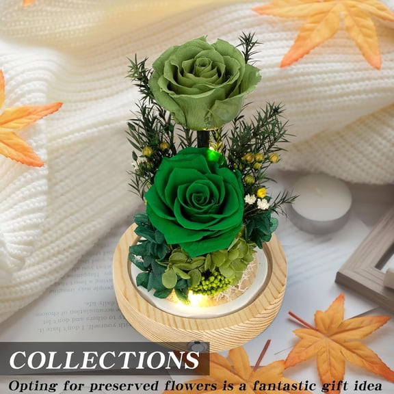 OTGFRF-Preserved Roses & Fresh Flowers Bouquet Gift for Women, Roses That Last Forever, Flowers for Delivery Prime, Green Roses Birthday, Mothers Day & Christmas