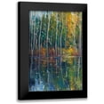 thumbnail image 1 of OToole, Tim 11x14 Black Modern Framed Museum Art Print Titled - Pine Reflection II, 1 of 5