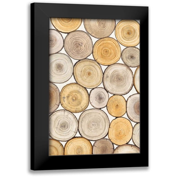 OToole, Tim 11x14 Black Modern Framed Museum Art Print Titled - Tree Ring Study II