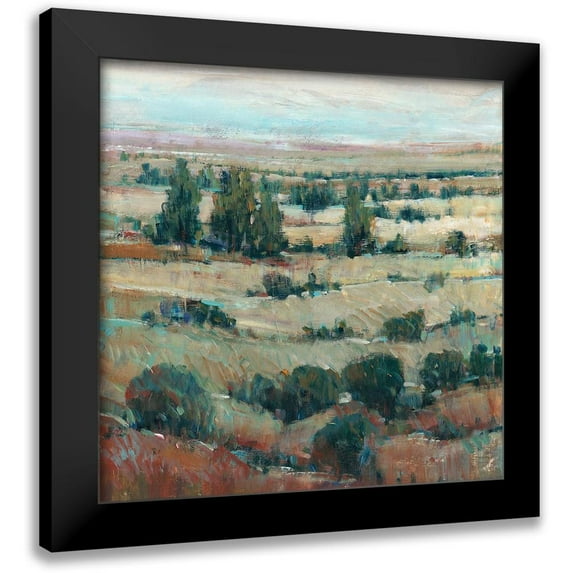 OToole, Tim 12x12 Black Modern Framed Museum Art Print Titled - High Country Scene I