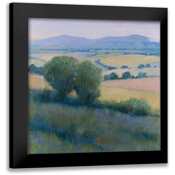 OToole, Tim 12x12 Black Modern Framed Museum Art Print Titled - Lavender Hillside I