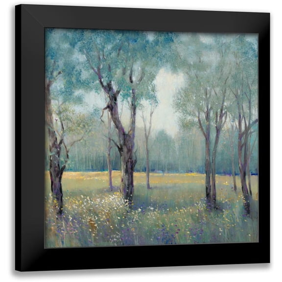 OToole, Tim 12x12 Black Modern Framed Museum Art Print Titled - Morning Mist