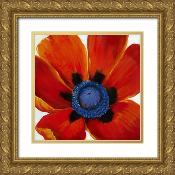 OToole, Tim 12x12 Gold Ornate Wood Framed with Double Matting Museum Art Print Titled - Close-Up II