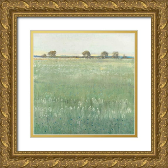 OToole, Tim 12x12 Gold Ornate Wood Framed with Double Matting Museum Art Print Titled - Green Meadow I