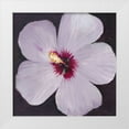thumbnail image 1 of OToole, Tim 12x12 White Modern Wood Framed Museum Art Print Titled - Hibiscus Portrait I, 1 of 4