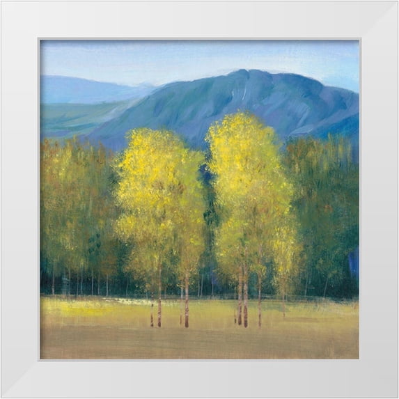 OToole, Tim 12x12 White Modern Wood Framed Museum Art Print Titled - Shaft of Light II